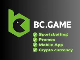 Experience the Thrills of BC Game A Comprehensive Guide