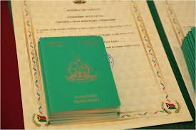 Comprehensive Guide to Vanuatu Passport Requirements and Costs 891850268 Comprehensive Guide to Vanuatu Passport Requirements and Costs 891850268