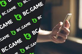 Understanding BC.Game Betting Platform in India Features, Benefits, and More